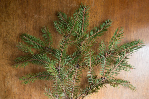 istock Big branch on wooden table from above 1064952726