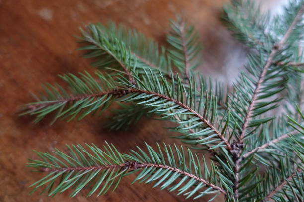istock Green branches of spruce on wooden table 1064952782