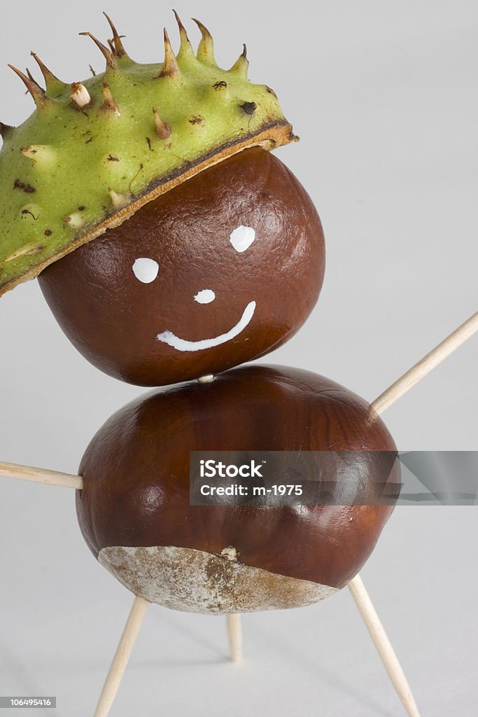 Smiling chestnuts man Chestnut - Food Stock Photo
