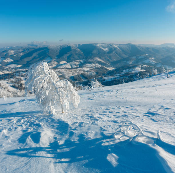 istock Winter mountain snowy landscape 1064955062