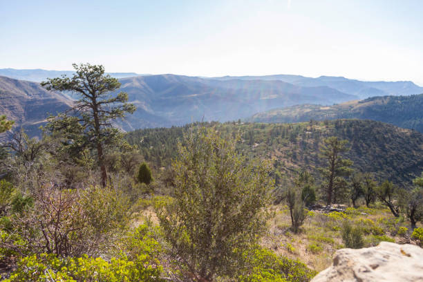 Price Canyon view inside the price canyon carbon county utah stock pictures, royalty-free photos & images