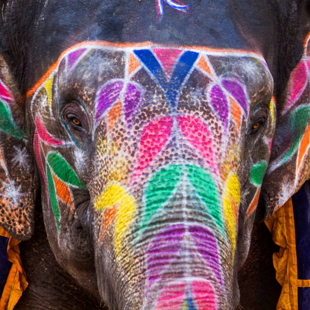 istock Indian elephant at Amber Fort in Jaipur - India 1064961864