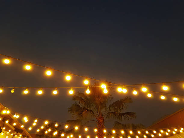 istock Low Angle View of Rows of Illuminated Hanging Light Bulbs with Palm Tree in the Back at Night 1064962276