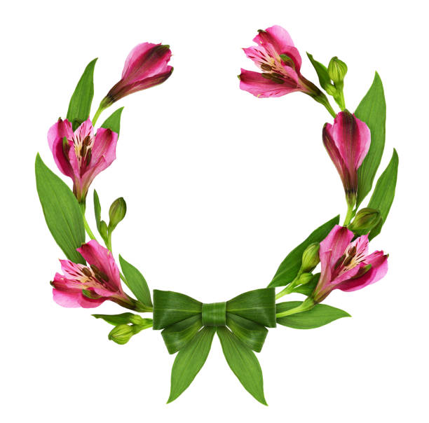 floral round frame with alstroemeria flowers and green bow from leaves - 5934 imagens e fotografias de stock