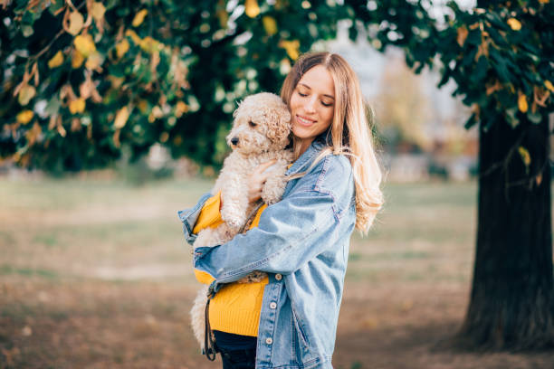 istock Autumn walk in park 1064972922