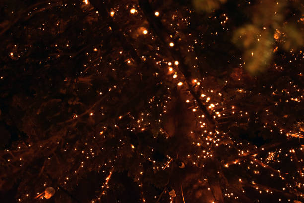 istock Bokeh of Light on Christmas tree 1064973206
