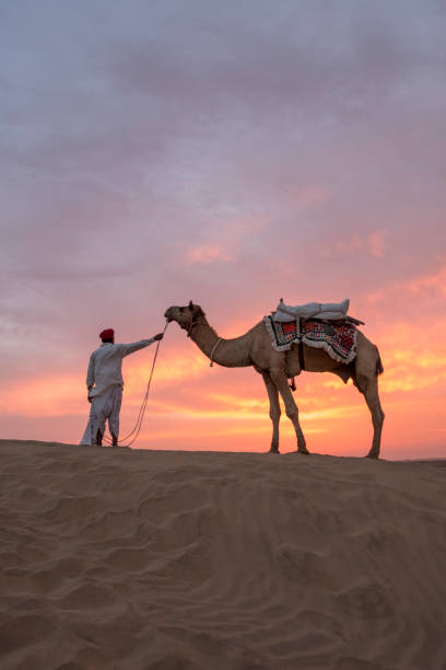 The Camel trader relaxing on the sand dune in Thar Desert in jaisalmer, India.' stock photo