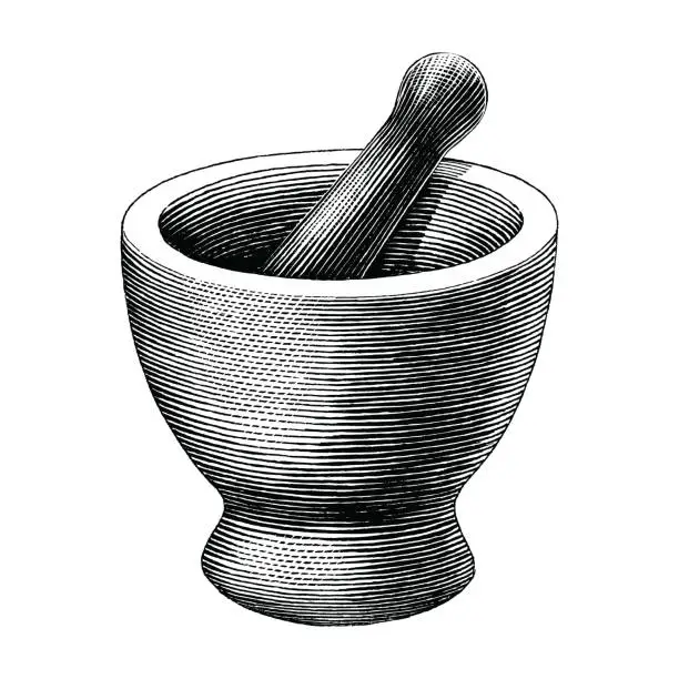 Vector illustration of Mortar and pestle vintage engraving illustration isolated on white background,symbol of pharmacy and medicine