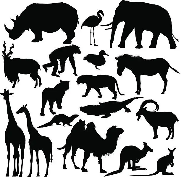 Vector illustration of Zoo Animal Silhouettes