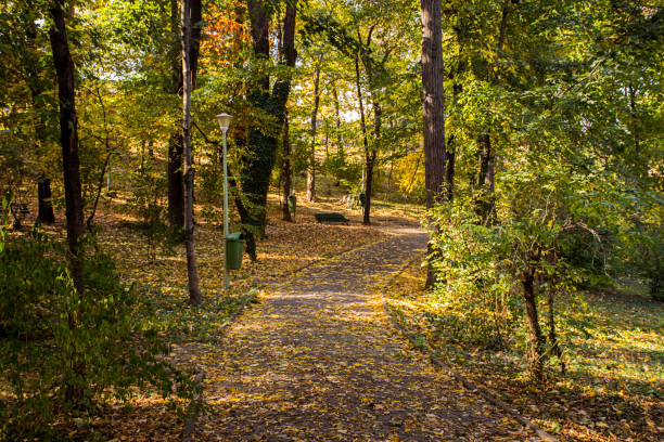 istock Autumn landscape in park 1064991220