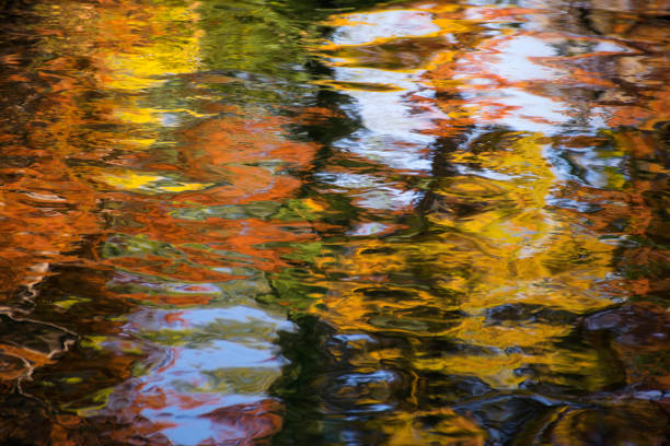 istock Autumn colors reflected in lake 1064991224