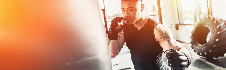 young sportsman wearing boxing gloves and punching boxing bag at gym in sunlight