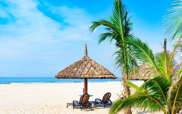 istock palm beach lounge chair 1065004932