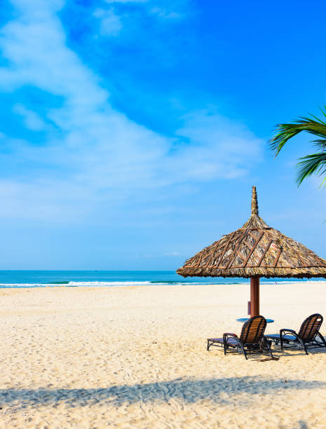 istock palm beach lounge chair 1065004954