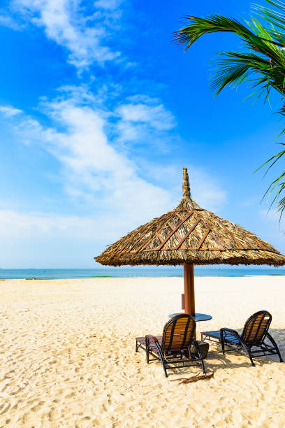 istock palm beach lounge chair 1065004968