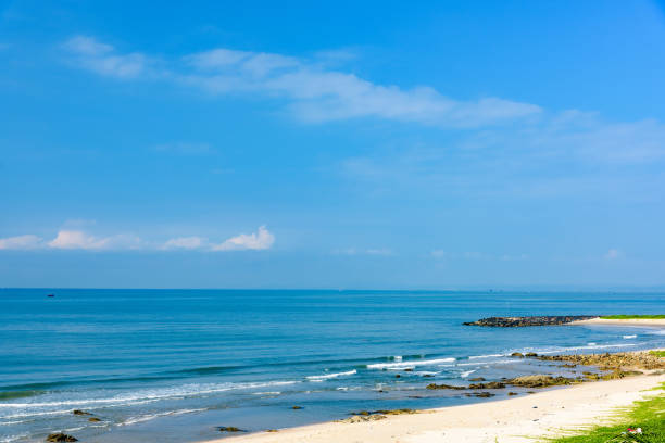 istock paradise resort beach palm tree sea 1065005042