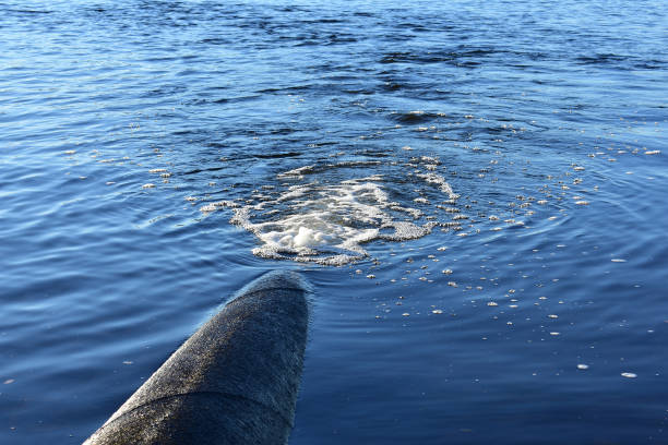 entlastung von toxischen oder verunreinigtes wasser in einem fluss oder see. - when it rains it pours stock-fotos und bilder