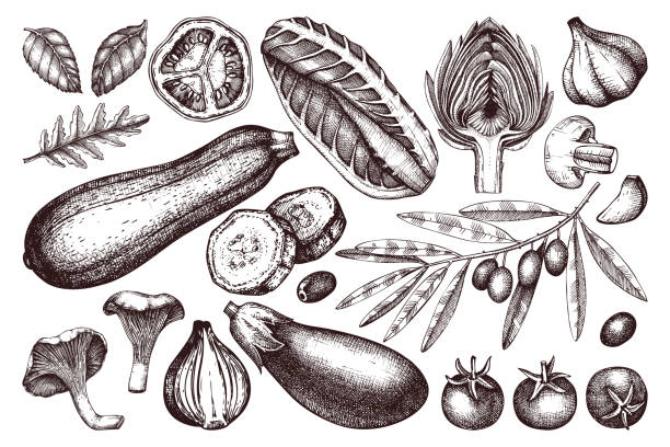 ilustrações de stock, clip art, desenhos animados e ícones de vector vegetables collection - zucchini