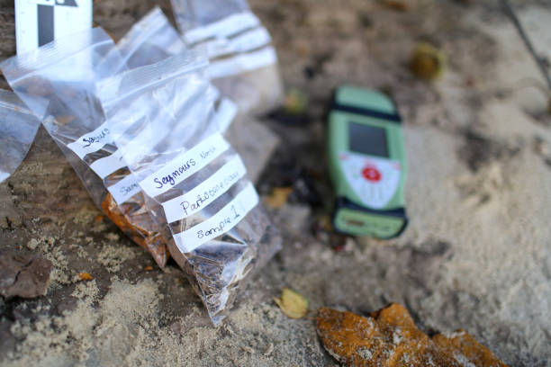 Soil sample bagged and written on by a Geologist, ready to be taken back to the laboratory to be dried and analysed stock photo
