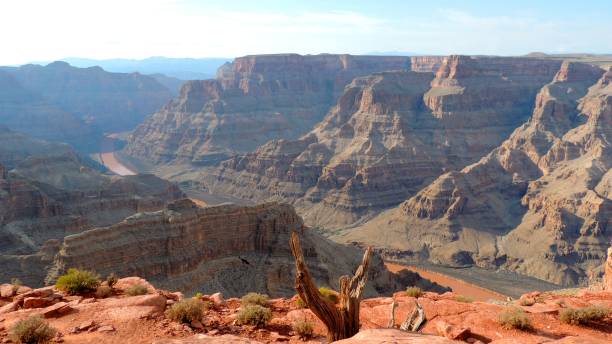 istock Desert Nevada, United States 1065016456