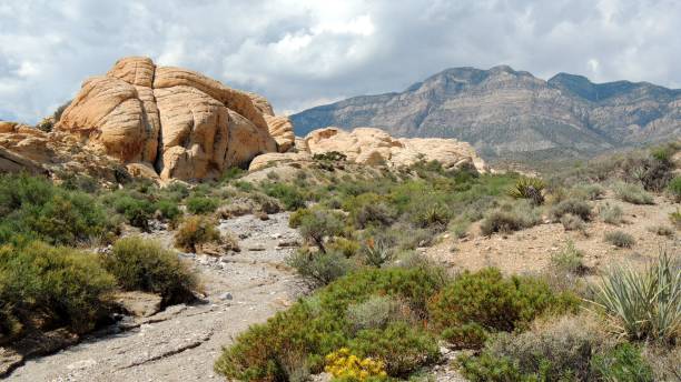 istock Desert Nevada, United States 1065017762
