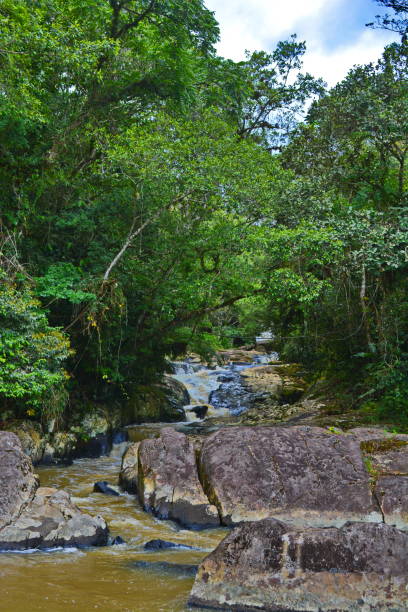 istock Santa Catarina landscapes 1065019538