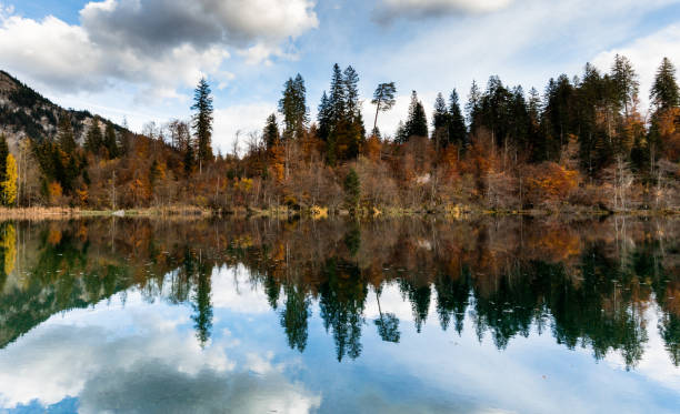 水の反射と後期の秋の日に色フォレストと紅葉風景サラウンド スイス アルプスの牧歌的�な山湖の秋します。 - refelctions ストックフォトと画像