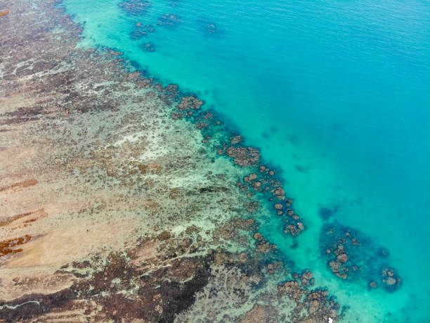istock Sea and boat beach coast aerial view 1065025272