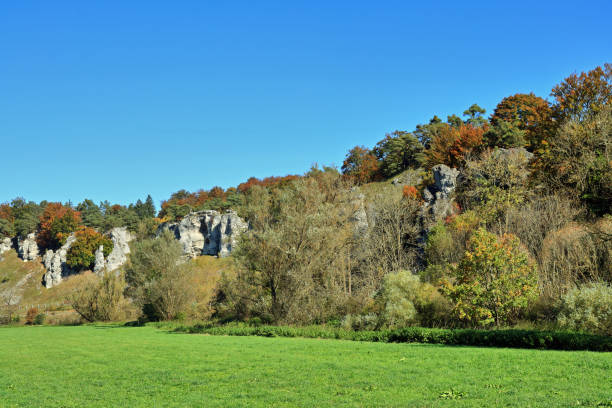 bavarian landscape: rocks in the altmühl valley near the town solnhofen - altmühltal imagens e fotografias de stock