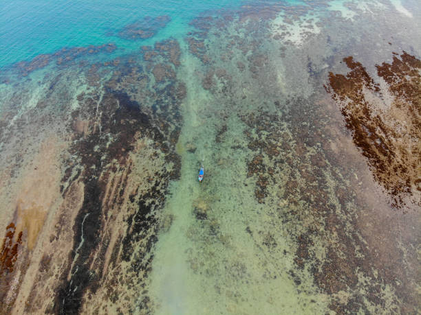 istock Sea and boat beach coast aerial view 1065025586