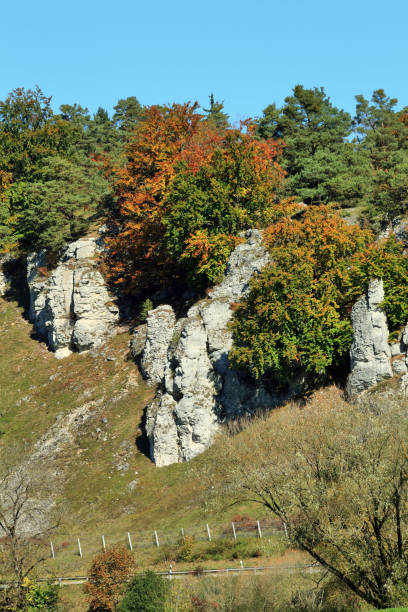 bavarian landscape: rocks in the altmühl valley near the town solnhofen - altmühltal imagens e fotografias de stock