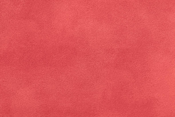 istock Dark red matt suede fabric closeup. Velvet texture. 1065041620