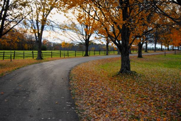 istock Colorful Fall Leaves on winding tree lined road at Knox State Park 1065044066