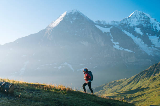 한 젊은 여성 등산객 언덕 산책 - jungfrau switzerland hiking bernese oberland 뉴스 사진 이미지