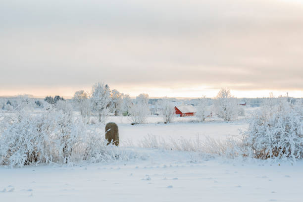istock Cold winter landscape with a milestone 1065049866