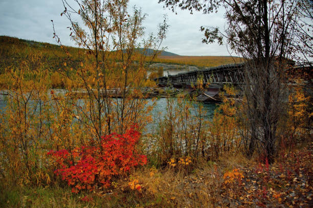 istock Wooden bridge destroyed by ruthless time 1065073146