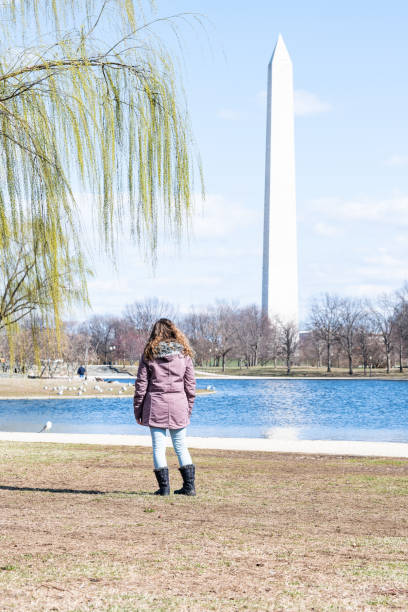 istock Willow tree branches with green leaves in spring, blue sky, monument in Washington DC at Constitution Gardens, water, ducks, birds swimming in pond, pool, one woman back, standing 1065074582