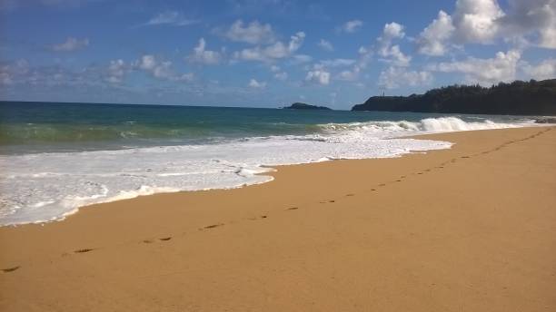 istock Secret Beach on Kauai 1065086072