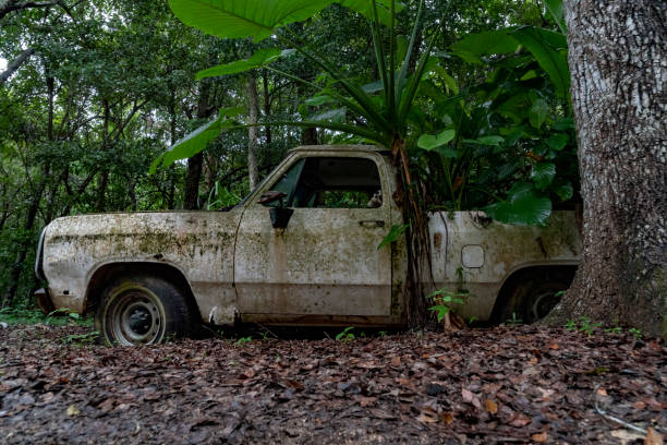 istock skull inside car abandoned in the forest 1065086652