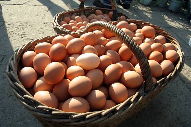 huevos en cesta - eggs farm basket dairy farm fotografías e imágenes de stock