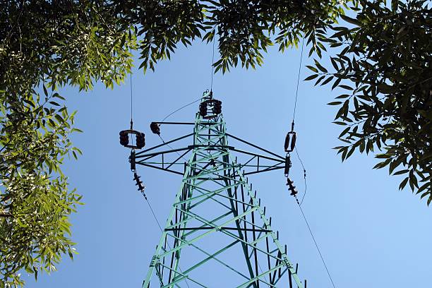 Pylon among green branches stock photo