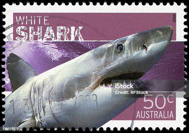 Squalo Bianco Stamp - Fotografie stock e altre immagini di Francobollo postale - Francobollo postale, Australia, Animale selvatico