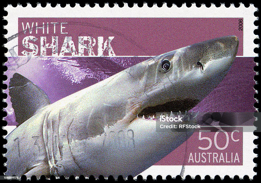 인명별 상어 스템프 - 로열티 프리 우표 스톡 사진