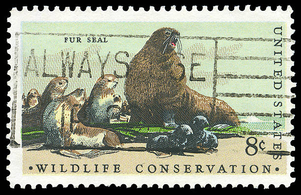 istock Fur Seal Wildlife Conservation Stamp 106509194