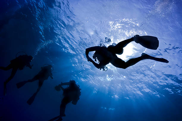 Natación Scubadivers a la superficie después de buceo - foto de stock