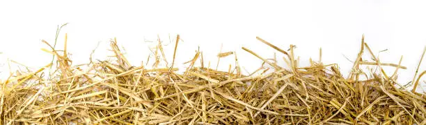 a bunch of straw as border, isolated with white background