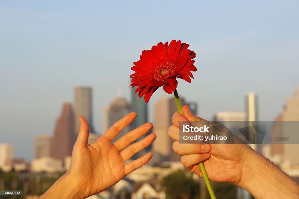 Blume für Sie mit skyline-Hintergrund - Lizenzfrei Abenddämmerung Stock-Foto
