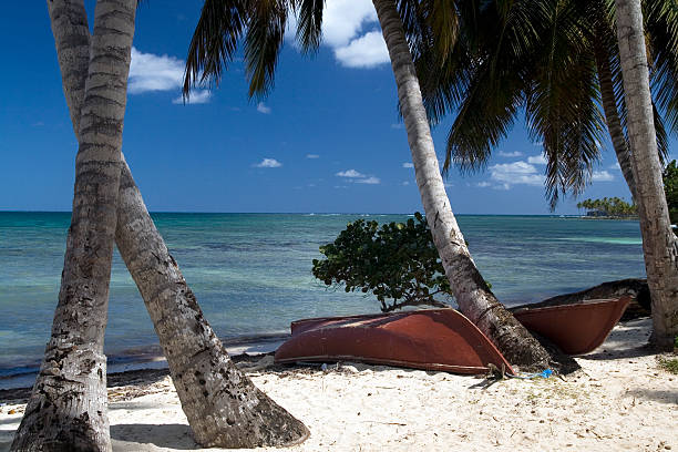 istock beach in the Dominican republic 106511584