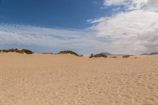 istock sand dunes in fuerteventura 1065116238