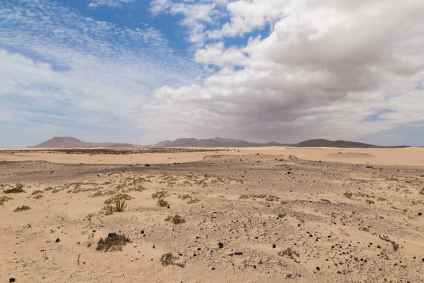 istock sand dunes in fuerteventura 1065116684